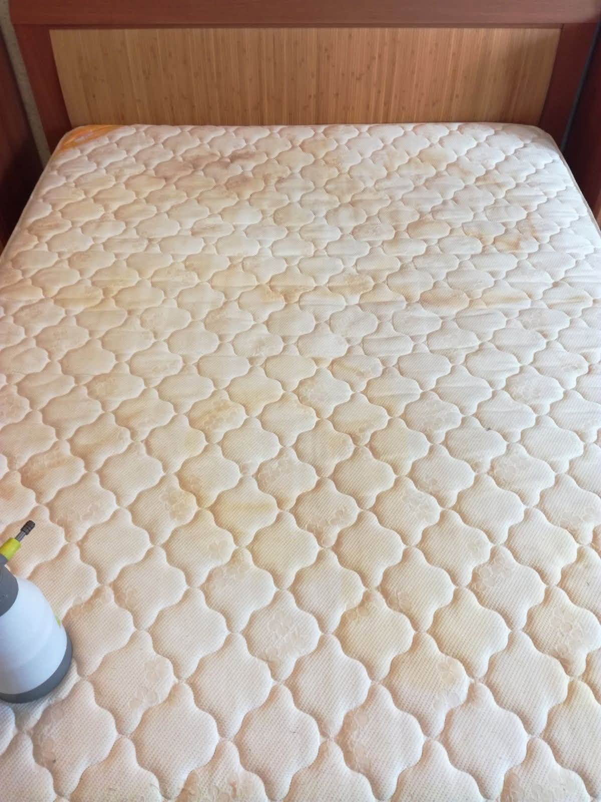 Cách Tẩy Vết Nước Tiểu Trên Nệm – Khử Sạch Mùi Khai Tận Gốc
